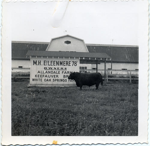 M.H. Eileenmere 78