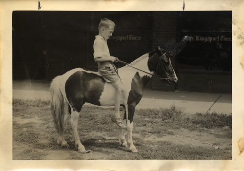 Boy and pony