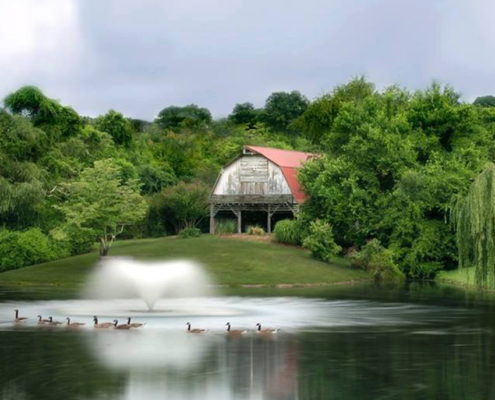 picnic pavillion